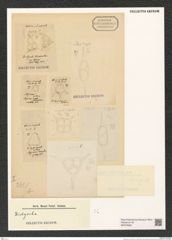 Dictyocha sp. (de-Toni-Nr.: Genus 262) Zeichnungen Sammlung Grunow (NHMW-BOT-W0379694)